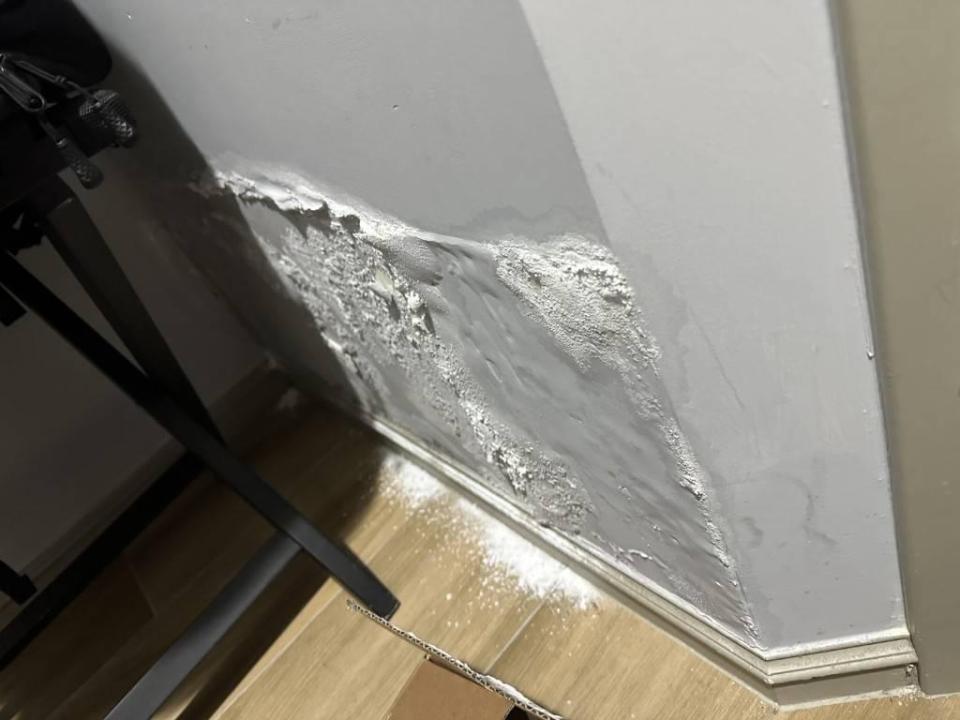 抓漏案件圖片