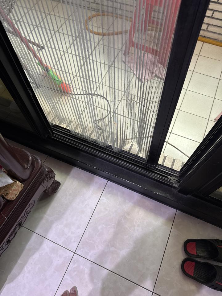 紗窗裝修案件圖片