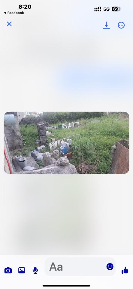 園藝維護案件圖片