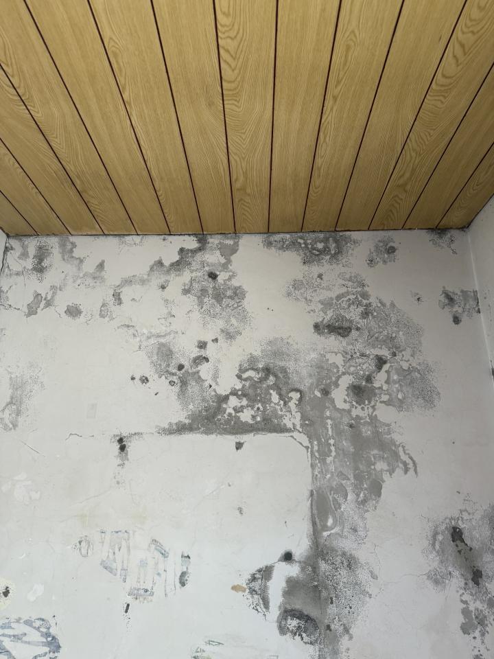 批土案件圖片