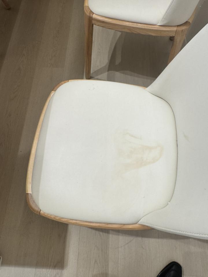 沙發清潔案件圖片