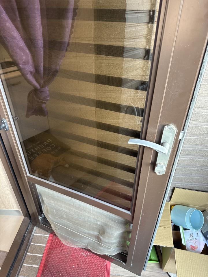 紗窗裝修案件圖片
