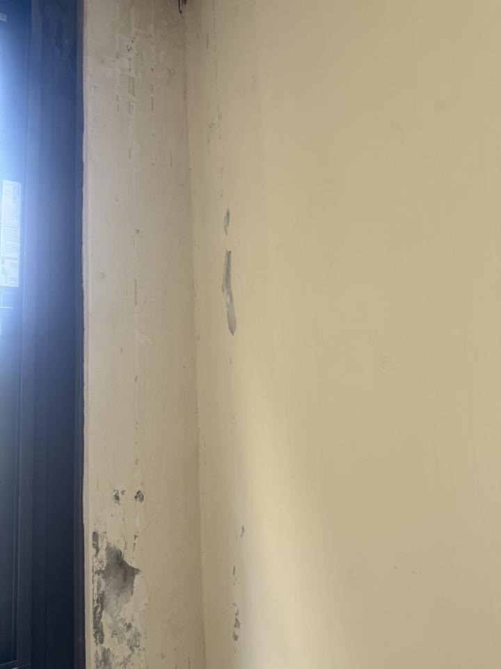 油漆工程案件圖片