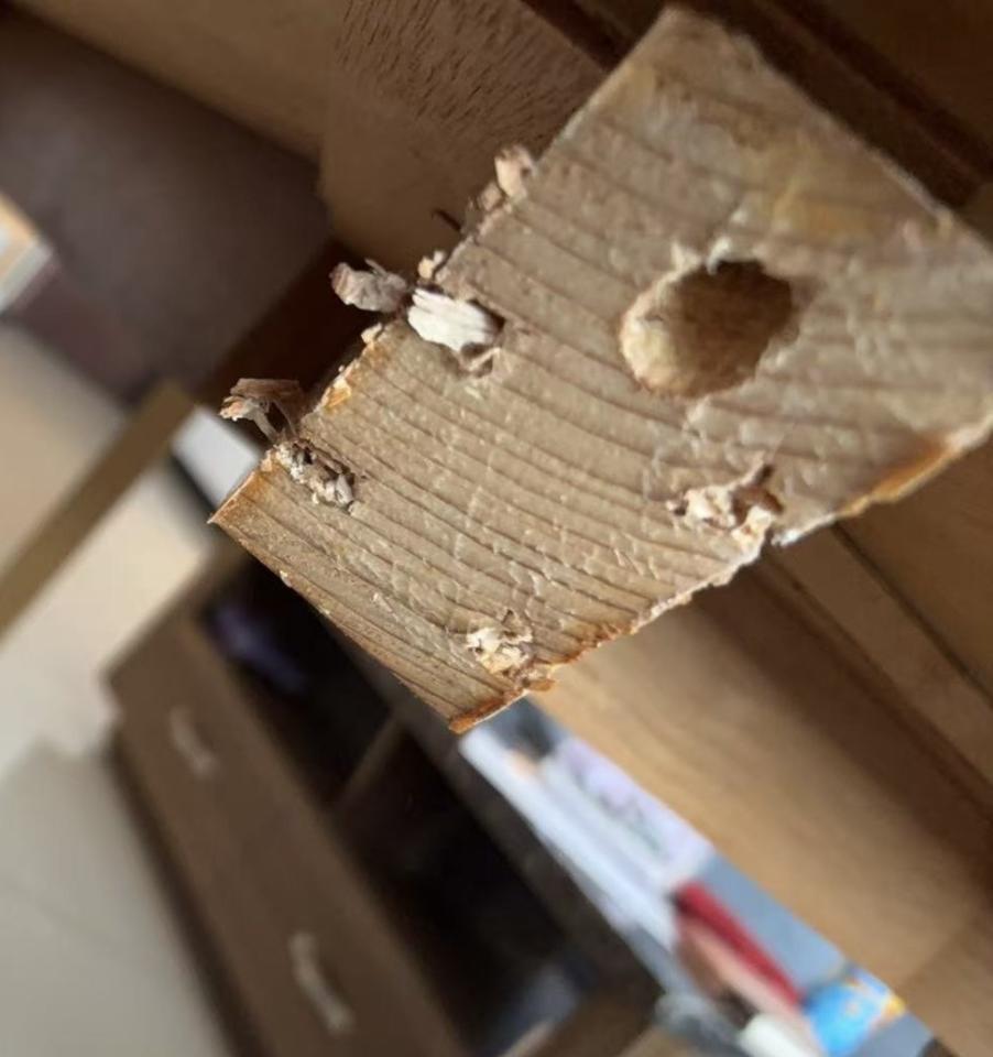 家具維修案件圖片