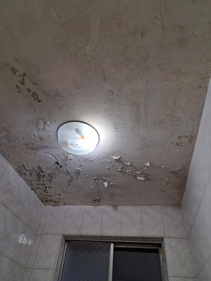 壁癌處理案件圖片