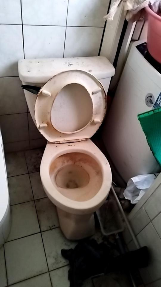 大型垃圾回收案件圖片