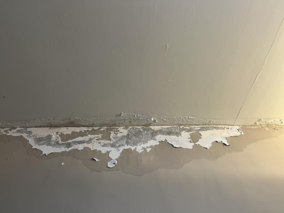 油漆工程案件圖片