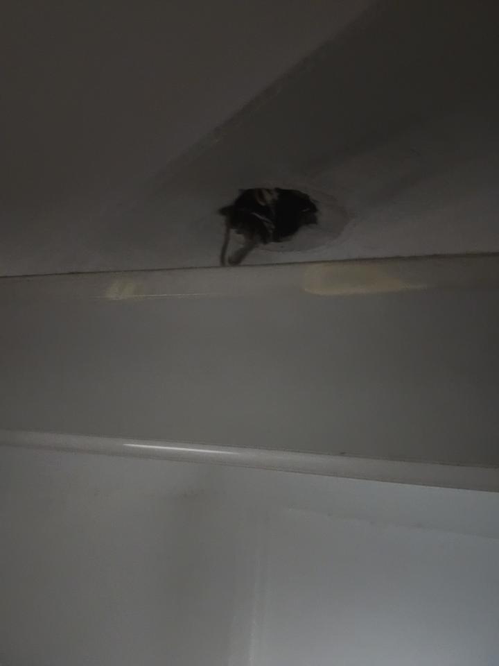 燈具安裝案件圖片