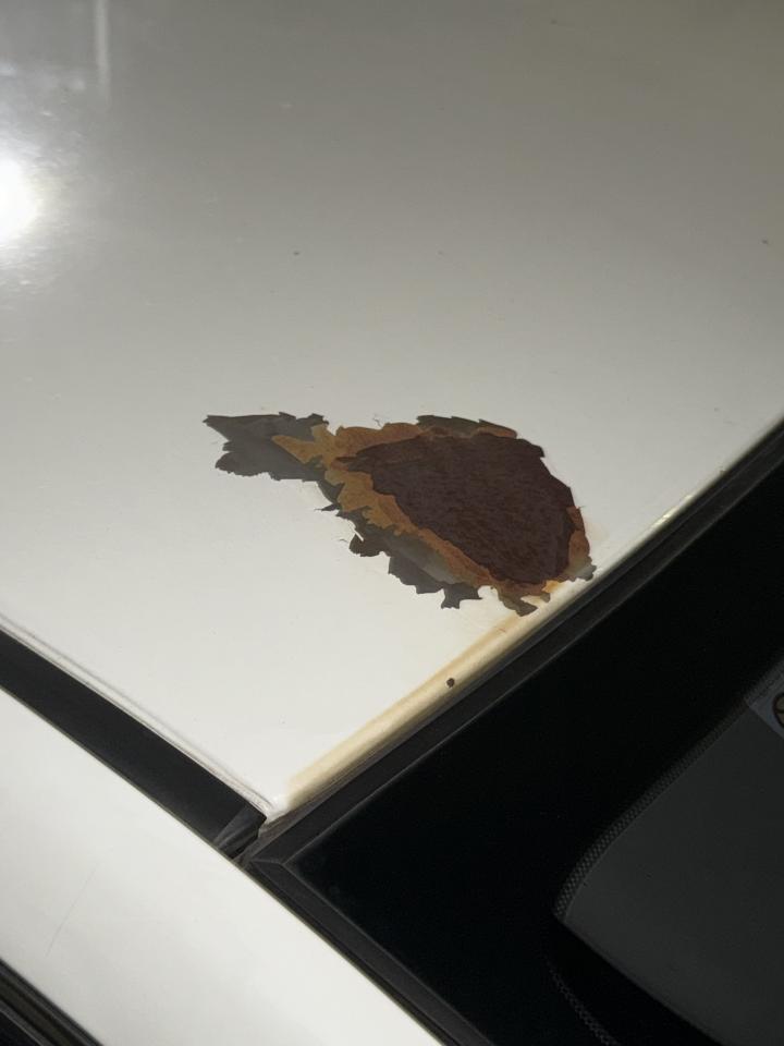 汽車板金烤漆案件圖片