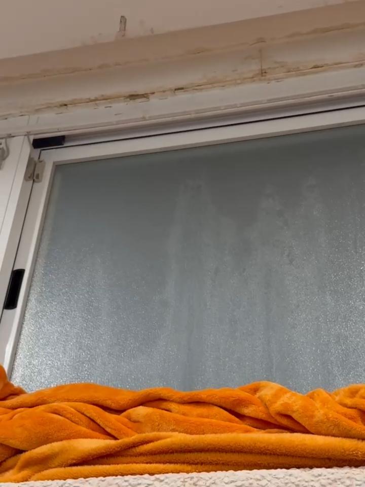 漏水處理案件圖片