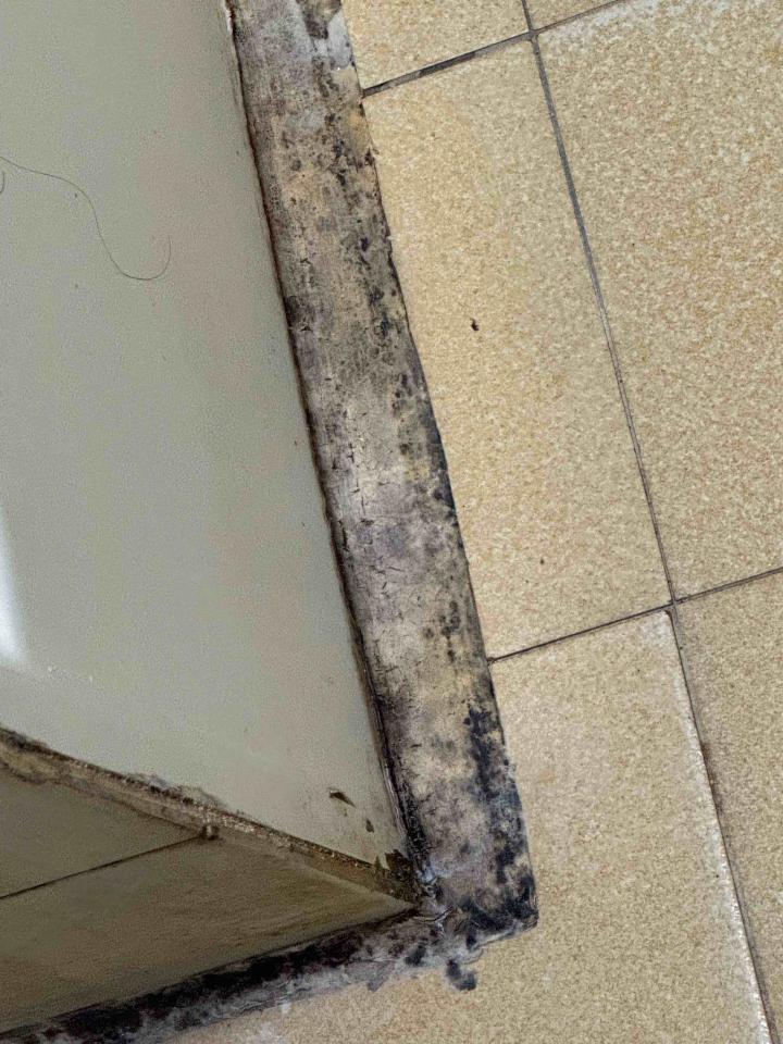 浴室除霉清潔案件圖片