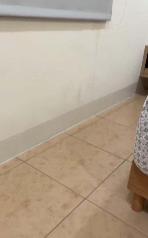 抓漏案件圖片 抓漏案件圖片
