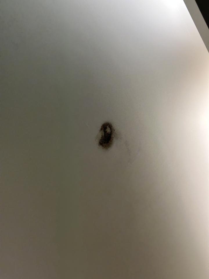 油漆工程案件圖片