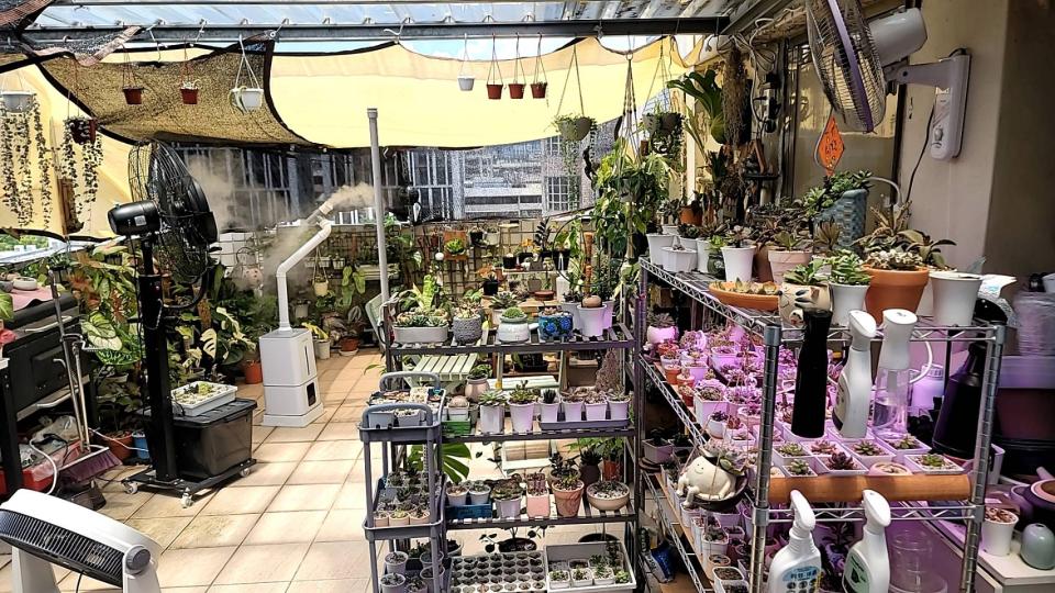 遮陽網工程案件圖片