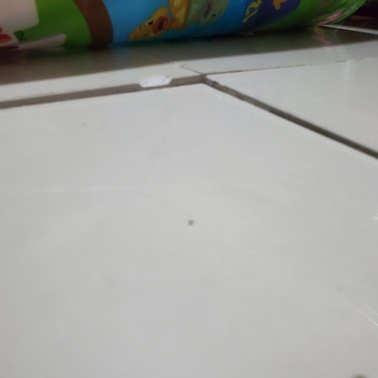 地板維修案件圖片