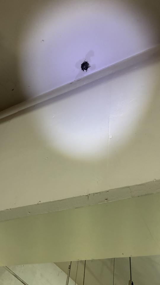 抓漏案件圖片