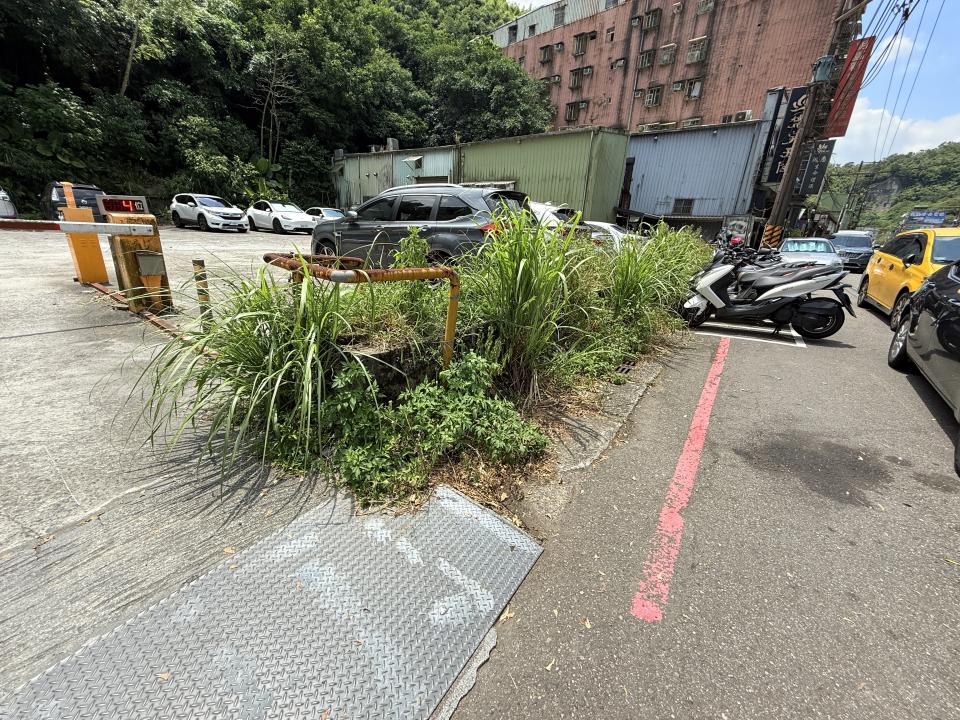園藝維護案件圖片