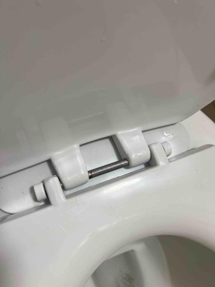 馬桶裝修案件圖片