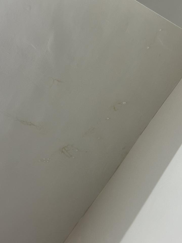 抓漏案件圖片