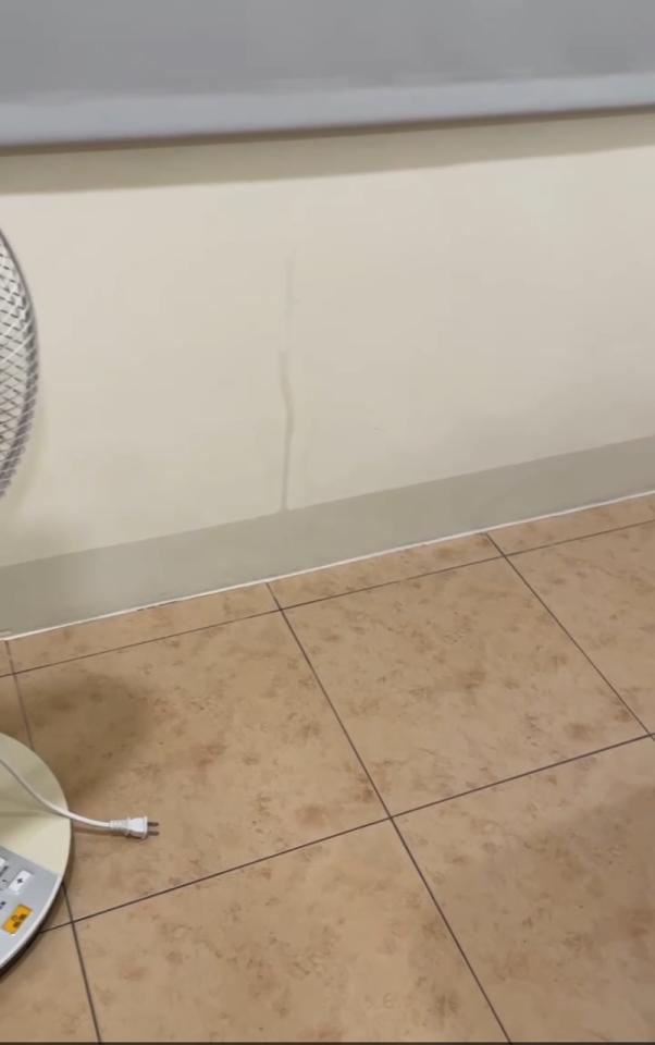 抓漏案件圖片 抓漏案件圖片