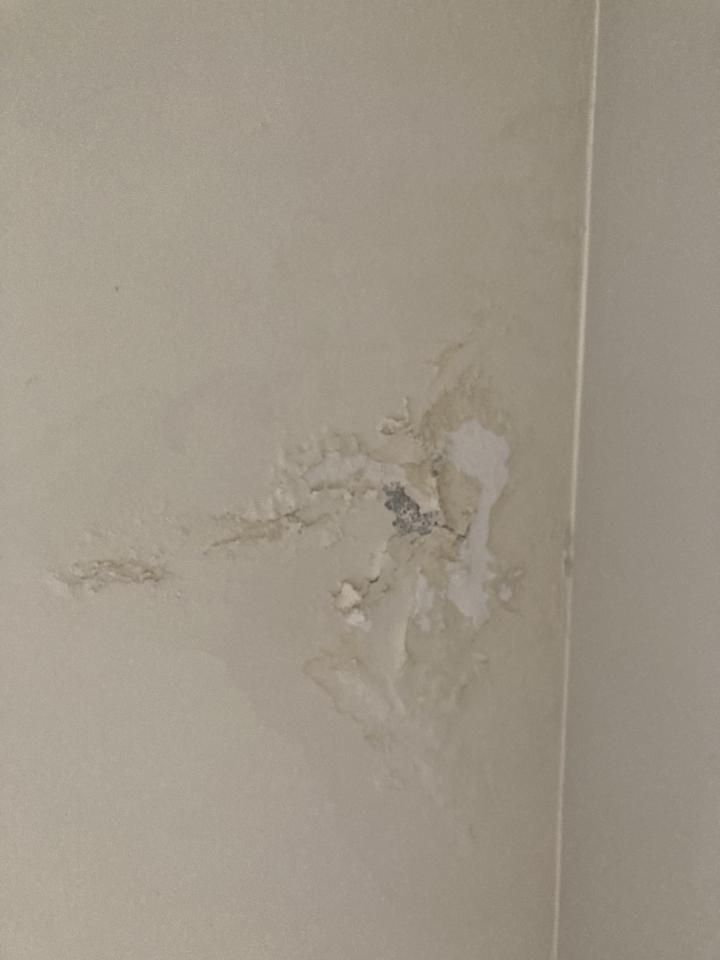 油漆工程案件圖片 油漆工程案件圖片
