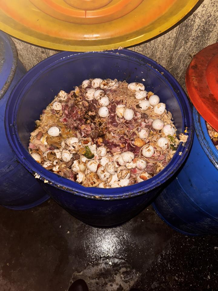 廚餘回收案件圖片