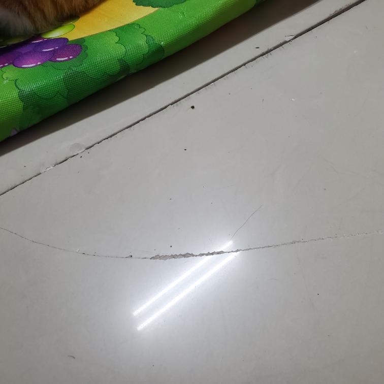 地板維修案件圖片