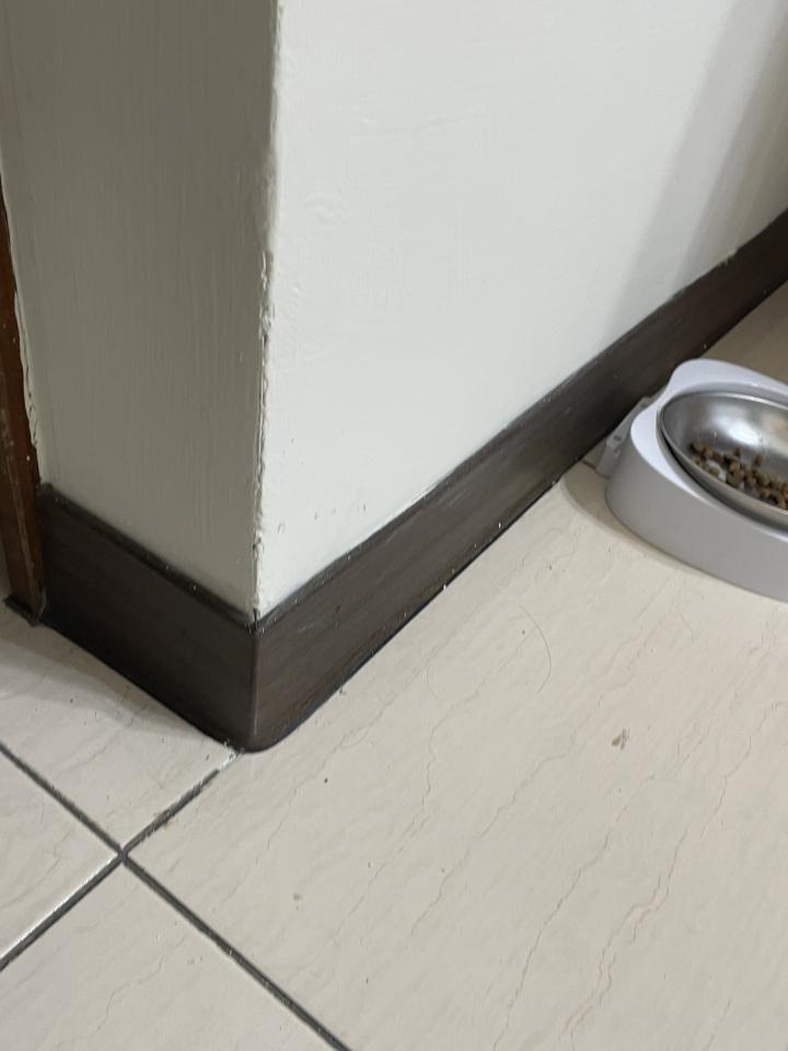 踢腳板施工案件圖片