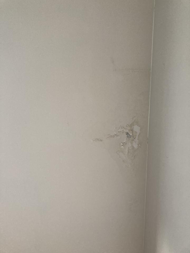 油漆工程案件圖片 油漆工程案件圖片