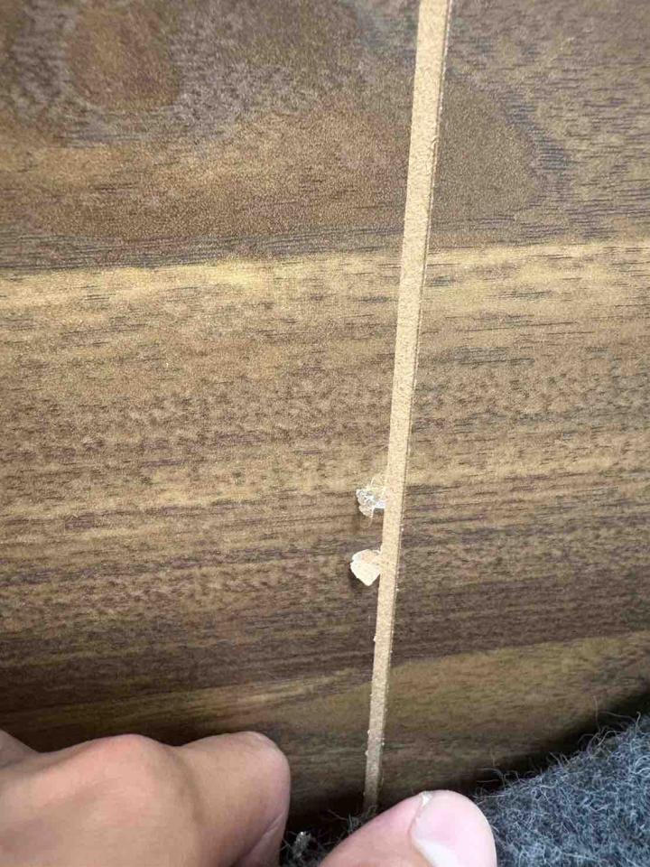 木門案件圖片