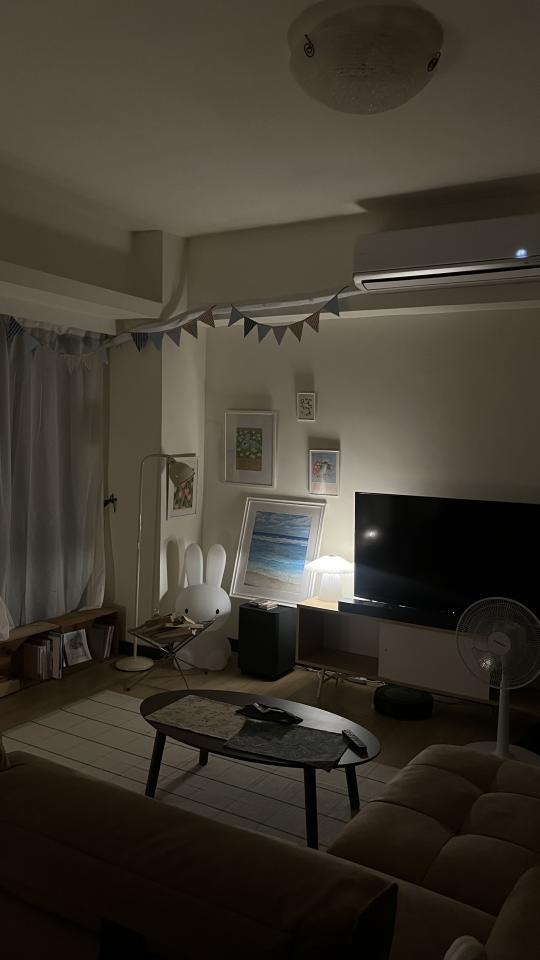電視壁掛架安裝案件圖片