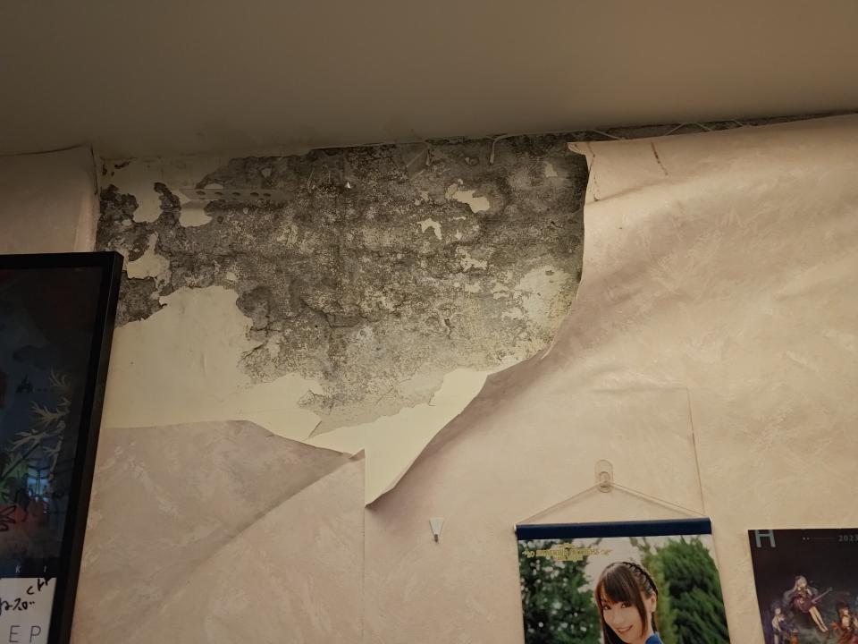 油漆工程案件圖片