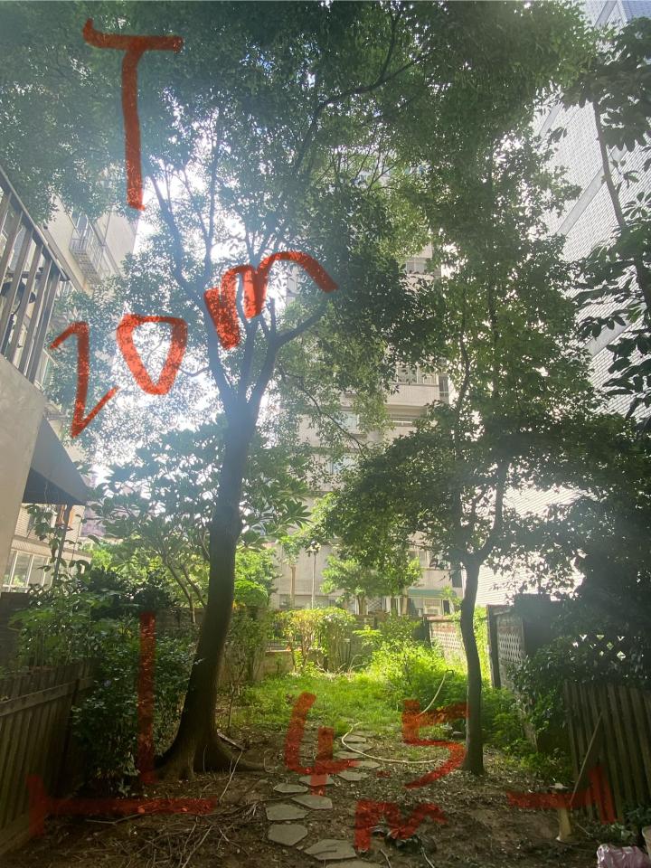 園藝維護案件圖片