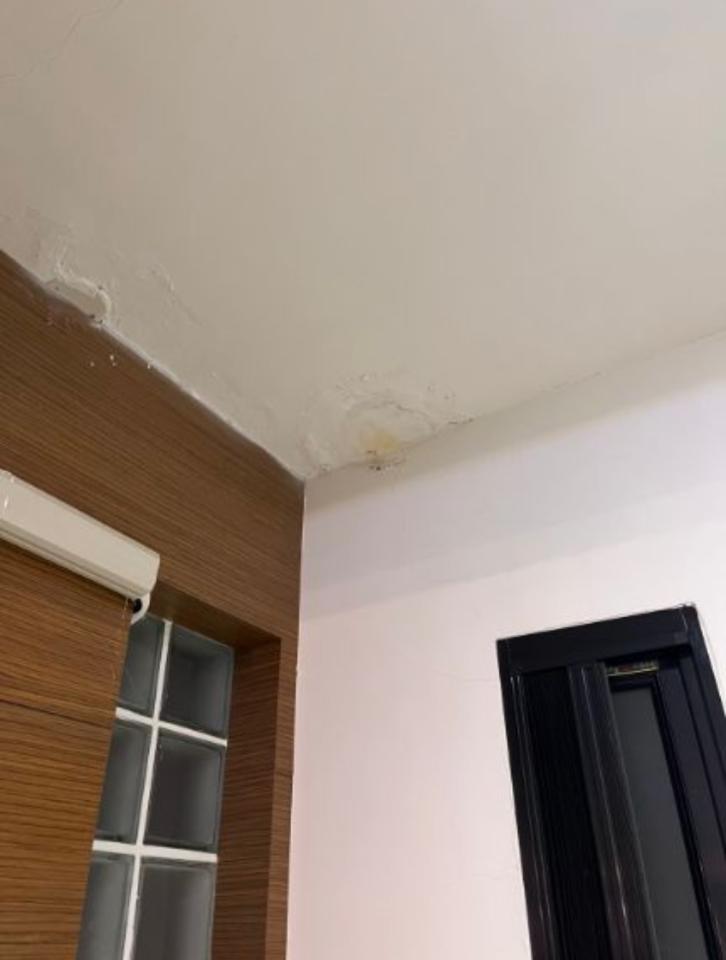 抓漏案件圖片