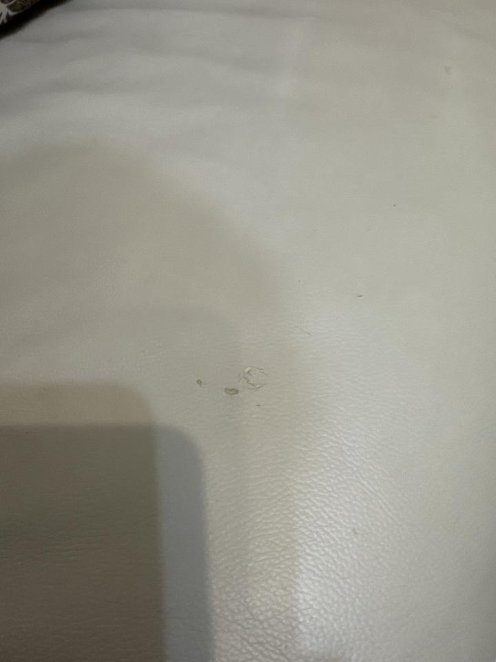 沙發修理案件圖片