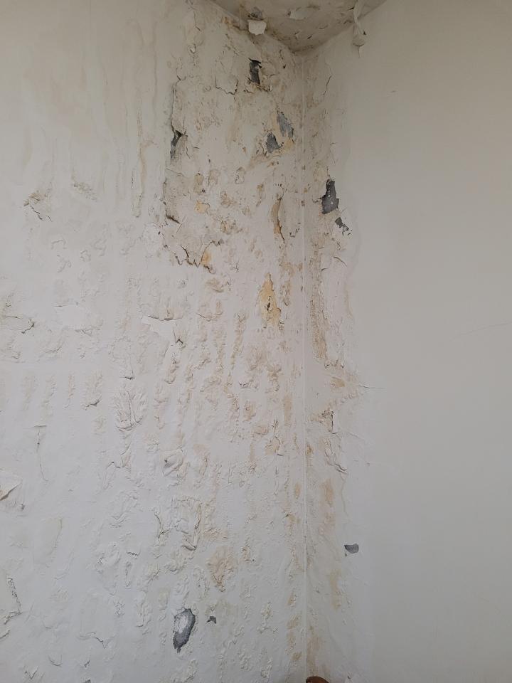 壁癌處理案件圖片