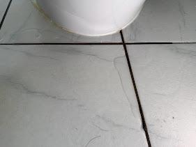 馬桶裝修案件圖片