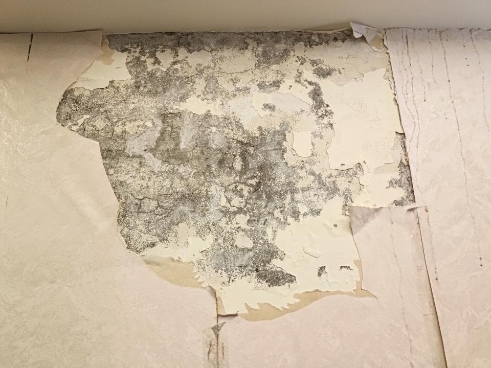 油漆工程案件圖片