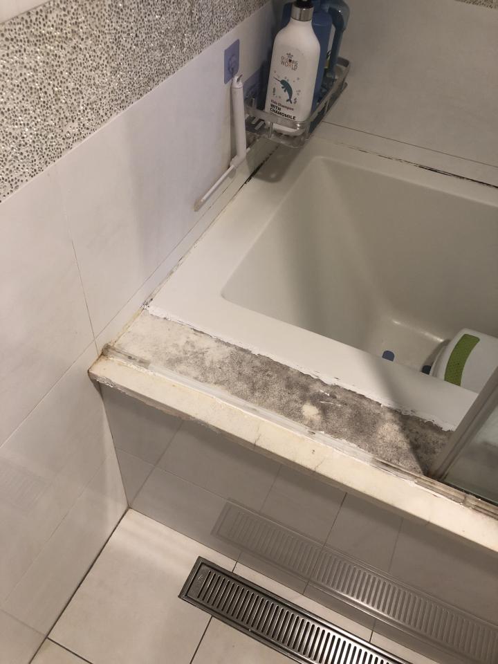 浴室扶手安裝案件圖片