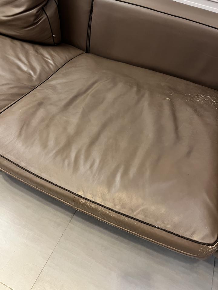 沙發修理案件圖片