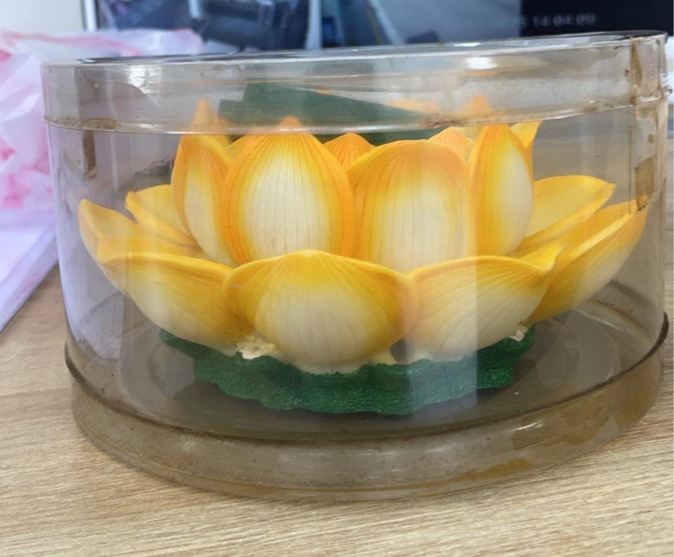 模型代工案件圖片