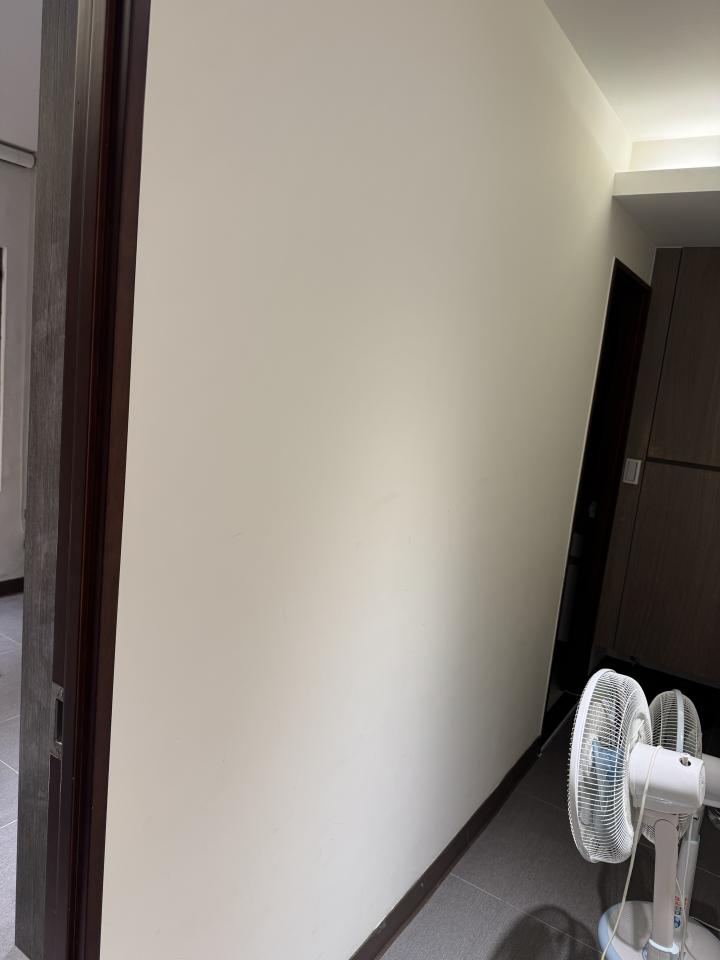 油漆工程案件圖片