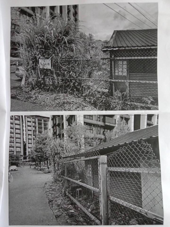 園藝維護案件圖片