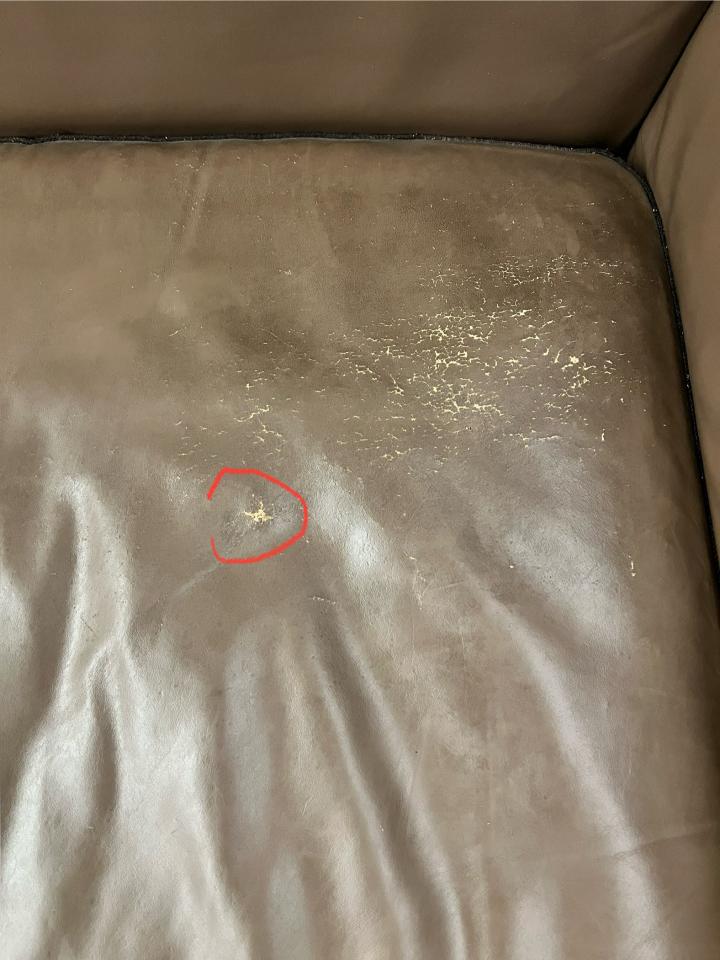 沙發修理案件圖片