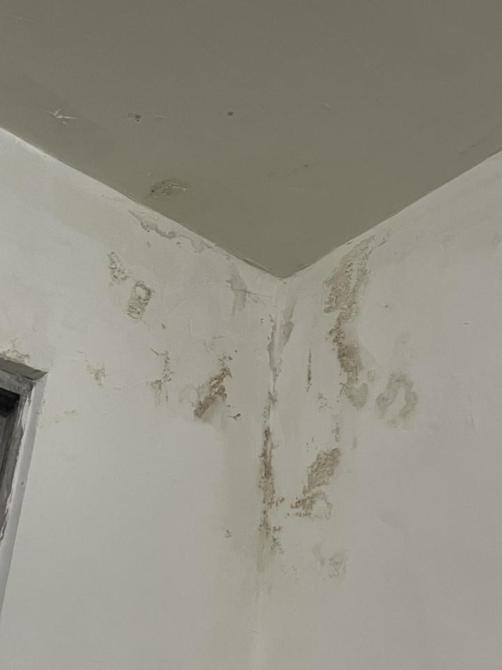 抓漏案件圖片