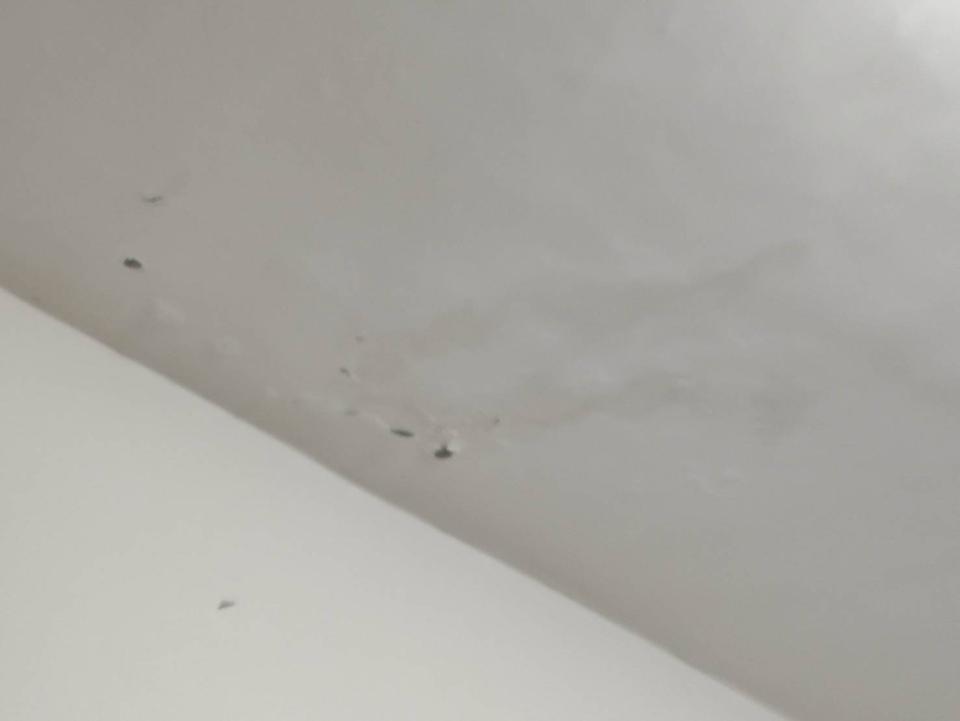 漏水處理案件圖片
