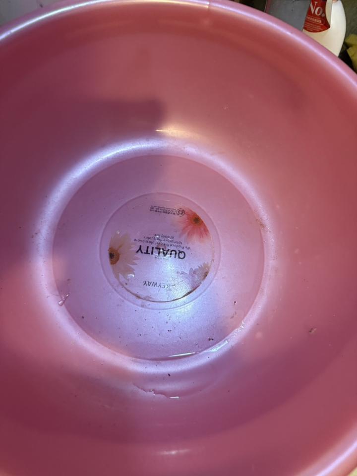 抓漏案件圖片