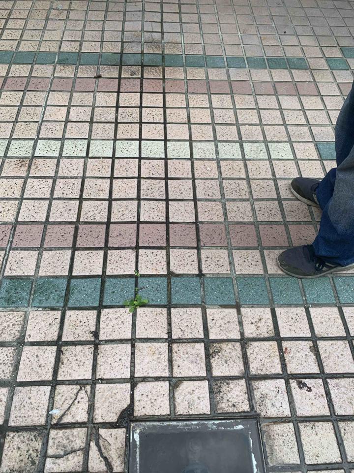漏水處理案件圖片 漏水處理案件圖片