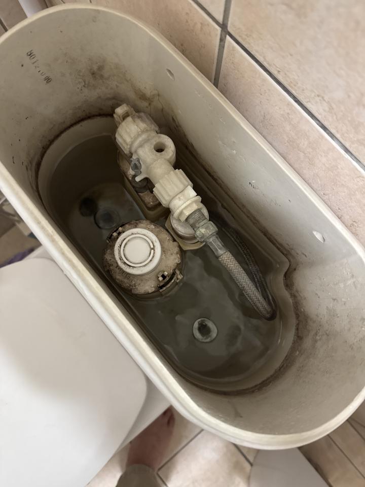 馬桶裝修案件圖片