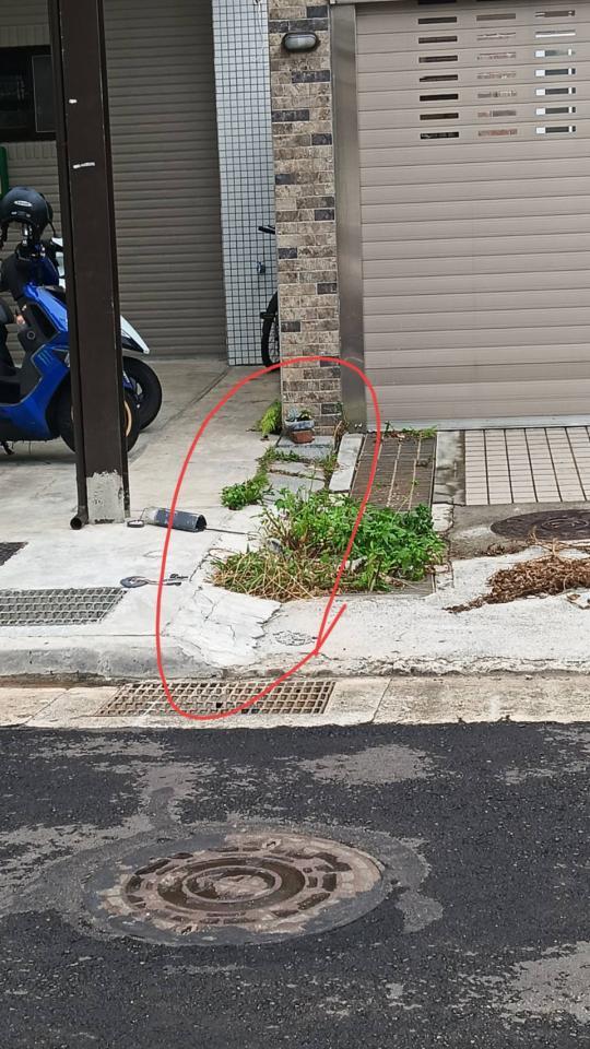 園藝設計案件圖片